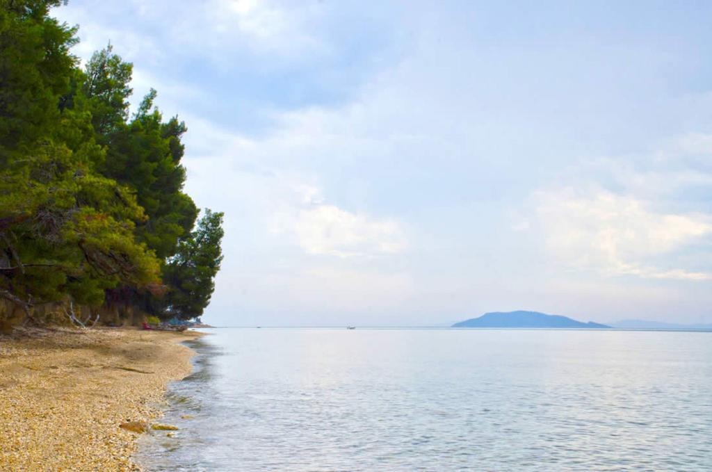 Elia Apartments Sithonia Exteriér fotografie